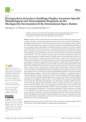 Organ-specific remodeling of the Arabidopsis transcriptome in response to spaceflight.