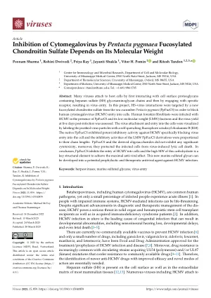 Inhibition of Cytomegalovirus by Pentacta pygmaea Fucosylated Chondroitin Sulfate Depends on Its Molecular Weight