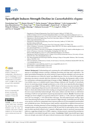 Spaceflight Induces Strength Decline in Caenorhabditis elegans