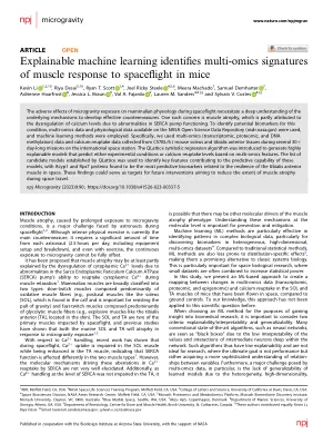 Explainable machine learning identifies multi-omics signatures of muscle response to spaceflight in mice
