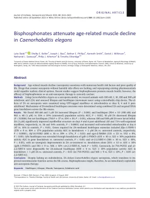 Bisphosphonates attenuate age-related muscle decline in Caenorhabditis elegans.