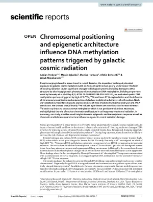 Chromosomal positioning and epigenetic architecture influence DNA methylation patterns triggered by galactic cosmic radiation