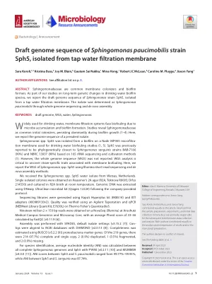 Draft genome sequence of Sphingomonas paucimobilis strain Sph5, isolated from tap water filtration membrane
