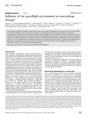 Influence of the spaceflight environment on macrophage lineages