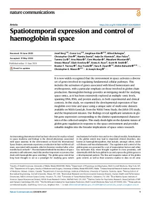 Spatiotemporal expression and control of haemoglobin in space
