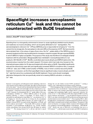 Spaceflight increases sarcoplasmic reticulum Ca2+ leak and this cannot be counteracted with BuOE treatment