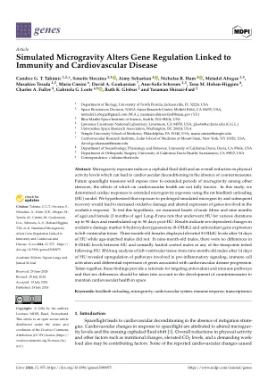 Simulated microgravity alters gene regulation linked to immunity and cardiovascular disease