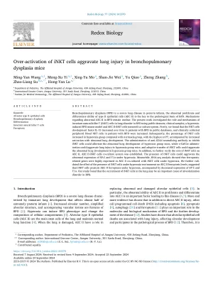 Hyperoxia inhibits T cell activation in mice