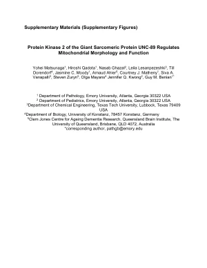 Protein kinase 2 of the giant sarcomeric protein UNC-89 regulates mitochondrial morphology and function