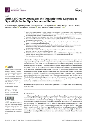 Artificial gravity attenuates the transcriptomic response to spaceflight in the optic nerve and retina