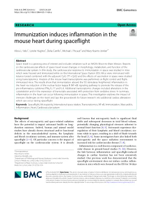 Immunization induces inflammation in the mouse heart during spaceflight.