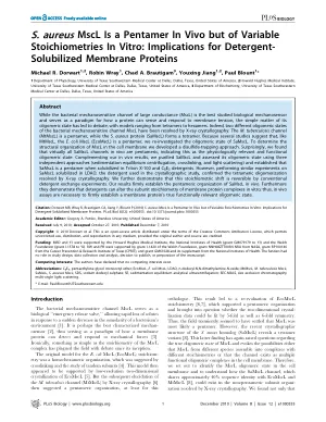S. aureus MscL is a pentamer in vivo but of variable stoichiometries in vitro: implications for detergent-solubilized membrane proteins
