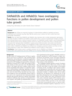 AtRabD2b and AtRabD2c have overlapping functions in pollen development and pollen tube growth.