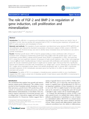 The role of FGF-2 and BMP-2 in regulation of gene induction, cell proliferation and mineralization.