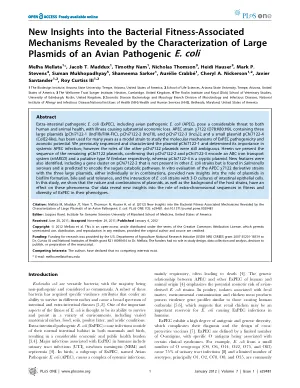 New insights into the bacterial fitness-associated mechanisms revealed by the characterization of large plasmids of an avian pathogenic E. coli