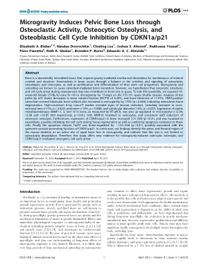 Microgravity induces pelvic bone loss through osteoclastic activity, osteocytic osteolysis, and osteoblastic cell cycle inhibition by CDKN1a/p21