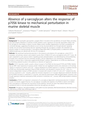 Absence of gamma-sarcoglycan alters the response of p70S6 kinase to mechanical perturbation in murine skeletal muscle