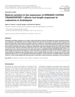 Natural variation in the expression of ORGANIC CATION TRANSPORTER 1 affects root length responses to cadaverine in Arabidopsis.