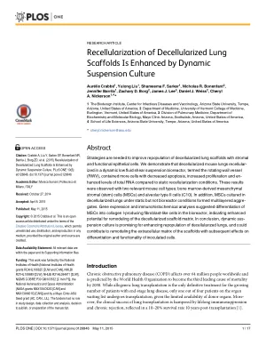 Recellularization of decellularized lung scaffolds is enhanced by dynamic suspension culture.