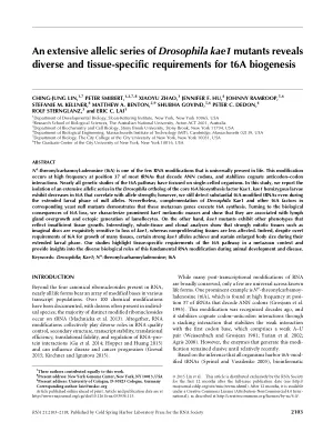 An extensive allelic series of Drosophila kae1 mutants reveals diverse and tissue-specific requirements for t6A biogenesis