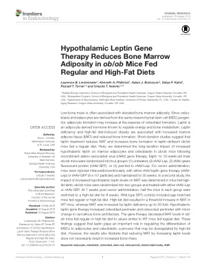 Hypothalamic Leptin Gene Therapy Reduces Bone Marrow Adiposity in ob/ob Mice Fed Regular and High-Fat Diets.