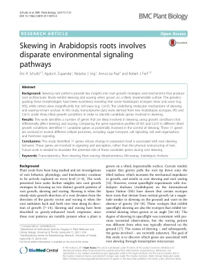 Skewing in Arabidopsis roots involves disparate environmental signaling pathways.