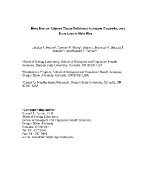 Bone Marrow Adipose Tissue Deficiency Increases Disuse-Induced Bone Loss in Male Mice