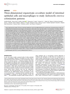 Three-dimensional organotypic co-culture model of intestinal epithelial cells and macrophages to study Salmonella enterica colonization patterns.