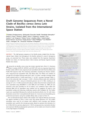 Draft Genome Sequences from a Novel Clade of Bacillus cereus Sensu Lato Strains, Isolated from the International Space Station.