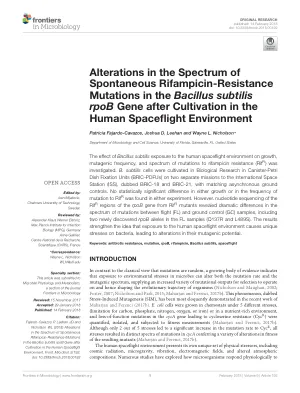 Alterations in the Spectrum of Spontaneous Rifampicin-Resistance Mutations in the Bacillus subtilis rpoB Gene after Cultivation in the Human Spaceflight Environment