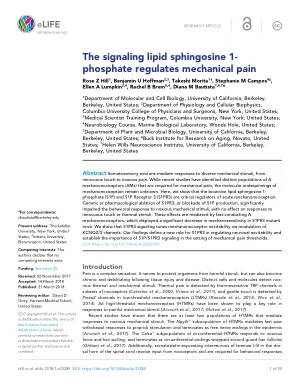 United in Diversity: Mechanosensitive Ion Channels in Plants