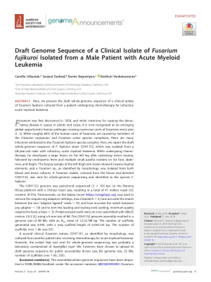 Draft genome sequence of a clinical isolate of Fusarium fujikuroi isolated from a male patient with acute myeloid leukemia.