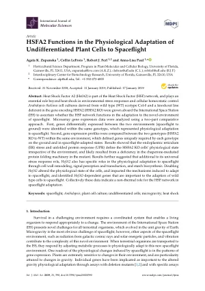 HSFA2 Functions in the Physiological Adaptation of Undifferentiated Plant Cells to Spaceflight.