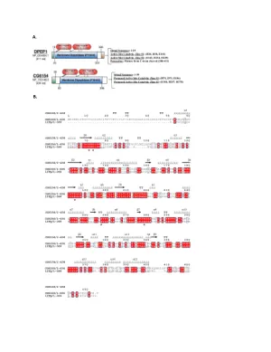 A combined computational strategy of sequence and structural analysis predicts the existence of a functional eicosanoid pathway in Drosophila melanogaster.