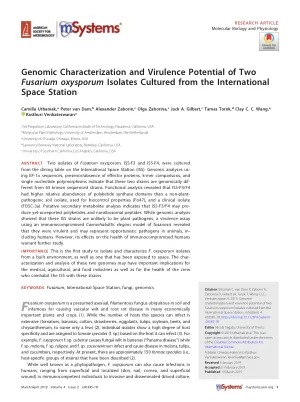 Genomic Characterization and Virulence Potential of Two Fusarium oxysporum Isolates Cultured from the International Space Station