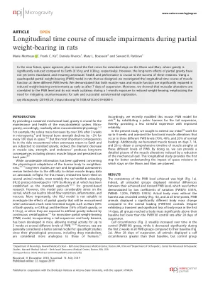 Longitudinal time course of muscle impairments during partial weight-bearing in rats