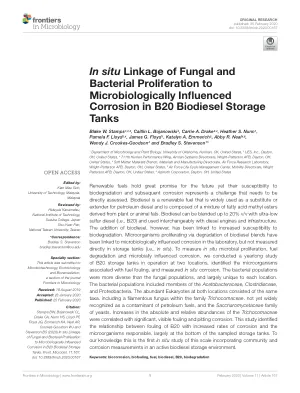 In situ linkage of fungal and bacterial proliferation to microbiologically influenced corrosion in B20 biodiesel storage tanks.