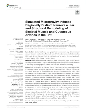 Simulated microgravity induces regionally distinct neurovascular and structural remodeling of skeletal muscle and cutaneous arteries in the rat