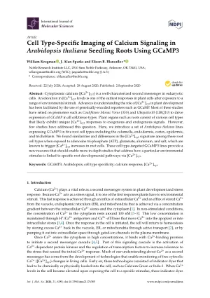 Cell type-specific imaging of calcium signaling in Arabidopsis thaliana seedling roots using GCaMP3.
