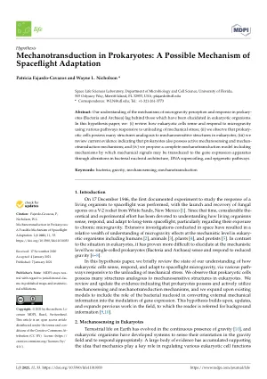 Mechanotransduction in Prokaryotes: A Possible Mechanism of Spaceflight Adaptation