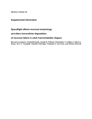 Spaceflight affects neuronal morphology and alters transcellular degradation of neuronal debris in adult Caenorhabditis elegans