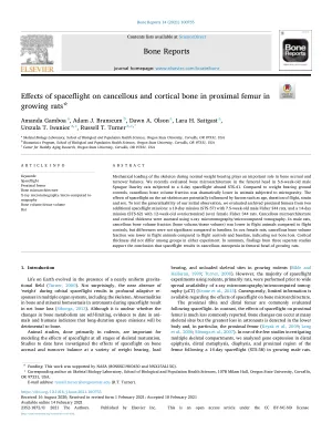Effects of Spaceflight on Cancellous and Cortical Bone in Proximal Femur in Growing Rats