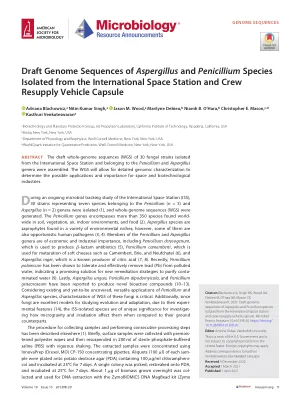 Draft Genome Sequences of Aspergillus and Penicillium Species Isolated from the International Space Station and Crew Resupply Vehicle Capsule