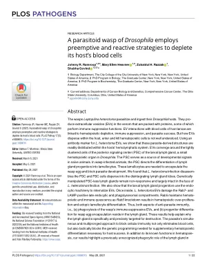 A parasitoid wasp of Drosophila employs preemptive and reactive strategies to deplete its host's blood cells