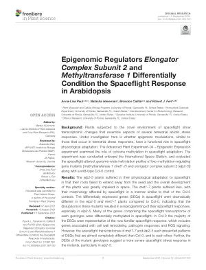 Epigenomic regulators elongator complex subunit 2 and methyltransferase 1 differentially condition the spaceflight response in Arabidopsis