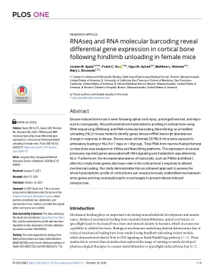 RNAseq and RNA molecular barcoding reveal differential gene expression in cortical bone following hindlimb unloading in female mice