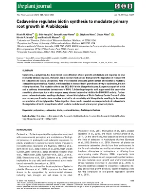 Cadaverine regulates biotin synthesis to modulate primary root growth in Arabidopsis