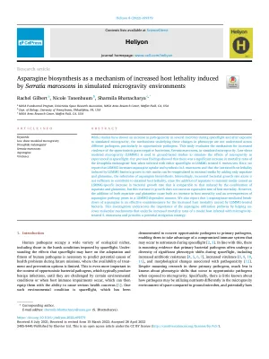 Asparagine biosynthesis as a mechanism of increased host lethality induced by Serratia marcescens in simulated microgravity environments