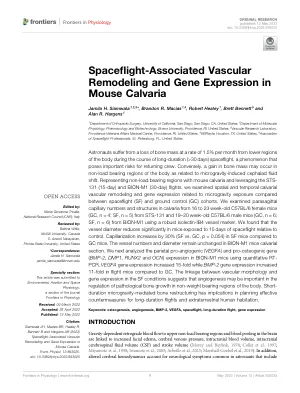 Spaceflight-associated vascular remodeling and gene expression in mouse calvaria.