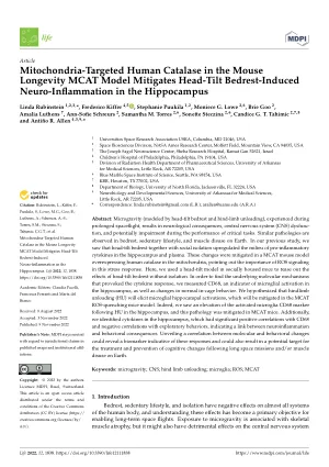 Mitochondria-targeted human catalase in the mouse longevity MCAT model mitigates head-tilt bedrest-induced neuro-inflammation in the hippocampus.